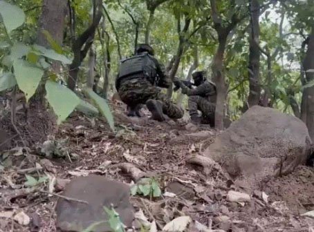 उधमपुर की गुफा में छिपे थे जैश आतंकी : सुरक्षाबलों का बड़ा एनकाउंटर, M4 और AK-47 मिली