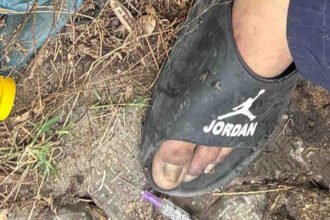 जालंधर बस स्टैंड के पास युवक का शव मिला, सिरिंज-बोतल बरामद: ड्रग ओवरडोज की आशंका