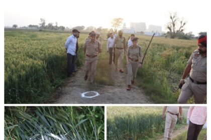 जालंधर CIA स्टाफ की बड़ी कार्रवाई: जोगा फोल्डीवाल गैंग से जुड़े आरोपी गिरफ्तार, मुठभेड़ के बाद हथियार बरामद