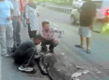 जालंधर में रफ्तार का कहर: ट्राले ने महिला को कुचला, मौके पर मौत