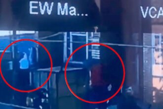 जालंधर में बेखौफ लुटेरे: पिस्टल दिखाकर बैंक से लाखों लेकर फरार, स्कूटी पर आए 2 लुटेरे