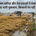 बेमौसम बारिश और तेज़ हवाओं ने पंजाब की फसलों को पहुंचाया भारी नुकसान, किसानों पर पड़ी दोहरी मार