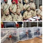 अमृतसर पुलिस की बड़ी कामयाबी: सरहद पार हथियार तस्करी मॉड्यूल का भंडाफोड़, 3 आरोपी गिरफ्तार, 7 पिस्तौल बरामद