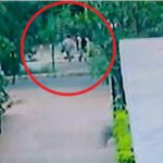 चंडीगढ़ में बीजेपी ऑफिस अटैक के बाद हाईकोर्ट को उड़ाने की धमकी : सीएम मान बोले- बीजेपी खुद ले अपनी जिम्मेदारी