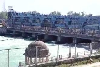 BBMB का हाई अलर्ट : भाखड़ा डैम हुआ लबालब, सतलुज में छोड़ा गया 8000 क्यूसेक पानी