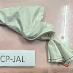 जालंधर पुलिस की बड़ी कामयाबी: 100 ग्राम हेरोइन और अवैध पिस्तौल के साथ दो नशा तस्कर गिरफ्तार, आर्म्स एक्ट और NDPS के तहत मामला दर्ज**
