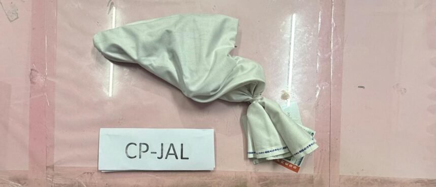 जालंधर पुलिस की बड़ी कामयाबी: 100 ग्राम हेरोइन और अवैध पिस्तौल के साथ दो नशा तस्कर गिरफ्तार, आर्म्स एक्ट और NDPS के तहत मामला दर्ज**