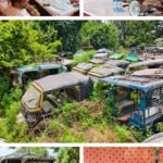 जालंधर कमिश्नरेट पुलिस द्वारा 207 एमवी एक्ट के तहत जब्त 52 दोपहिया वाहनों की खुली नीलामी; 4.50 लाख रुपये का राजस्व प्राप्त**