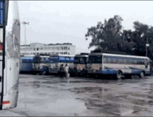पंजाब में बस सेवा पर बड़ा असर, पनबस मुलाजिम हड़ताल पर; यात्रियों की बढ़ी परेशानी