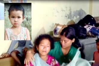 होशियारपुर: टांडा के पास आवारा कुत्तों का आतंक, सोते समय 4 वर्षीय मासूम बच्ची को नोच-नोच कर मार डाला
