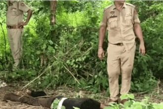 जालंधर में एनकाउंटर: गिरफ्तारी के दौरान बदमाश ने चलाई गोली, पुलिस ने किया जवाबी एक्शन