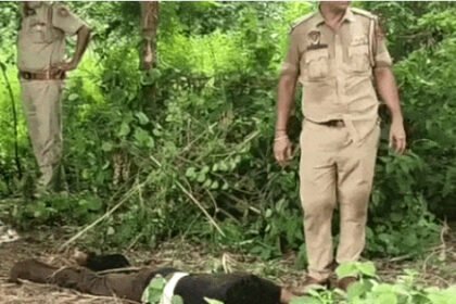 जालंधर में एनकाउंटर: गिरफ्तारी के दौरान बदमाश ने चलाई गोली, पुलिस ने किया जवाबी एक्शन