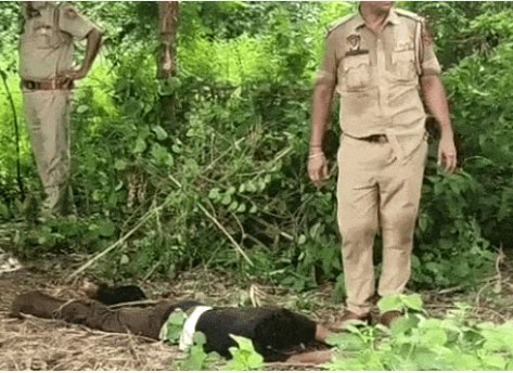 जालंधर में एनकाउंटर: गिरफ्तारी के दौरान बदमाश ने चलाई गोली, पुलिस ने किया जवाबी एक्शन