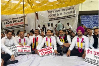 BREAKING: LADC पॉलिसी के खिलाफ जालंधर के वकीलों का बड़ा आंदोलन, भूख हड़ताल शुरू; सरकार से फैसला वापस लेने की मांग