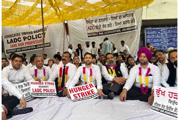 BREAKING: LADC पॉलिसी के खिलाफ जालंधर के वकीलों का बड़ा आंदोलन, भूख हड़ताल शुरू; सरकार से फैसला वापस लेने की मांग