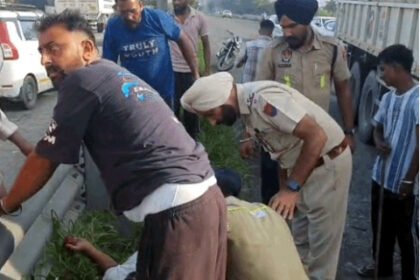 जालंधर-लुधियाना NH पर भीषण टक्कर: CNG सिलेंडरों से भरा ट्रक टिप्पर से भिड़ा, केबिन में फंसा ड्राइवर